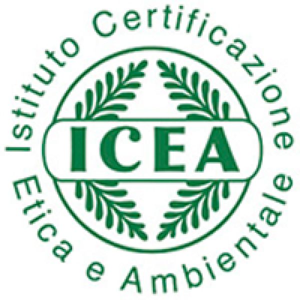 icea logo